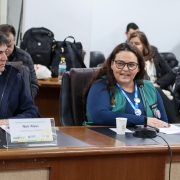 Mulher branca, de cabelo ondulado, com colete verde e camisa azul. Sentada, falando ao microfone.